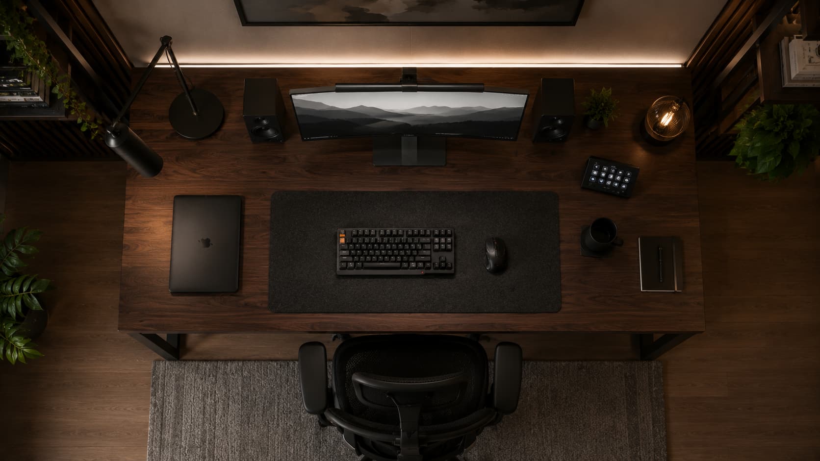 Setup
